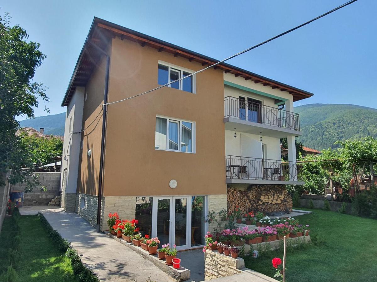 Дамяновата Къща Otel Sapareva Banya Dış mekan fotoğraf